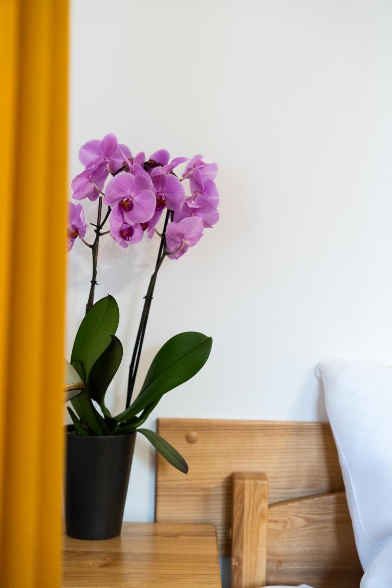 Dom Krawca - Pod Chojnikiem Apartment Jelenia Gora Ngoại thất bức ảnh
